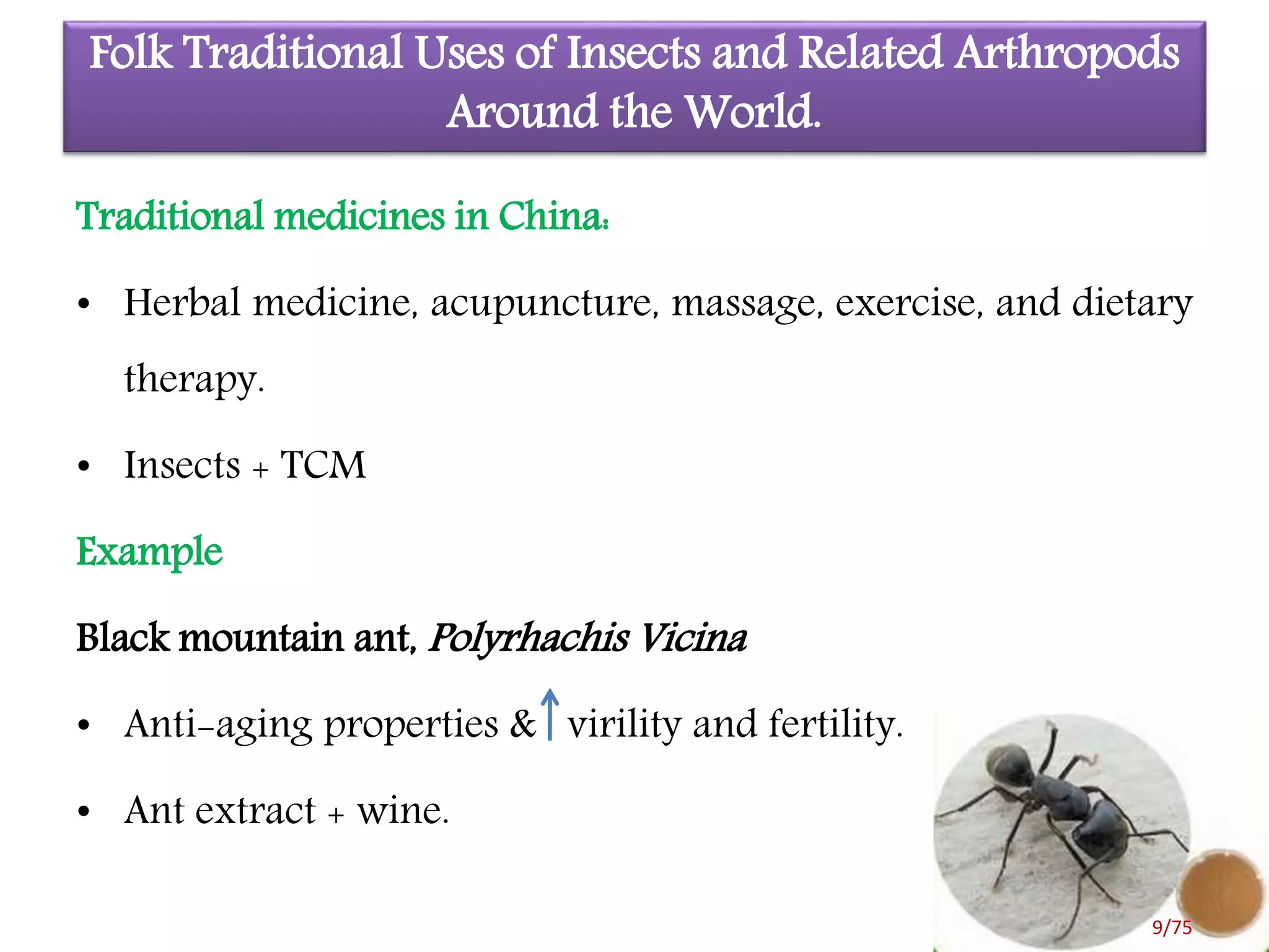 Insect therapeutics in ethnoentomology by Premalatha | PPTX