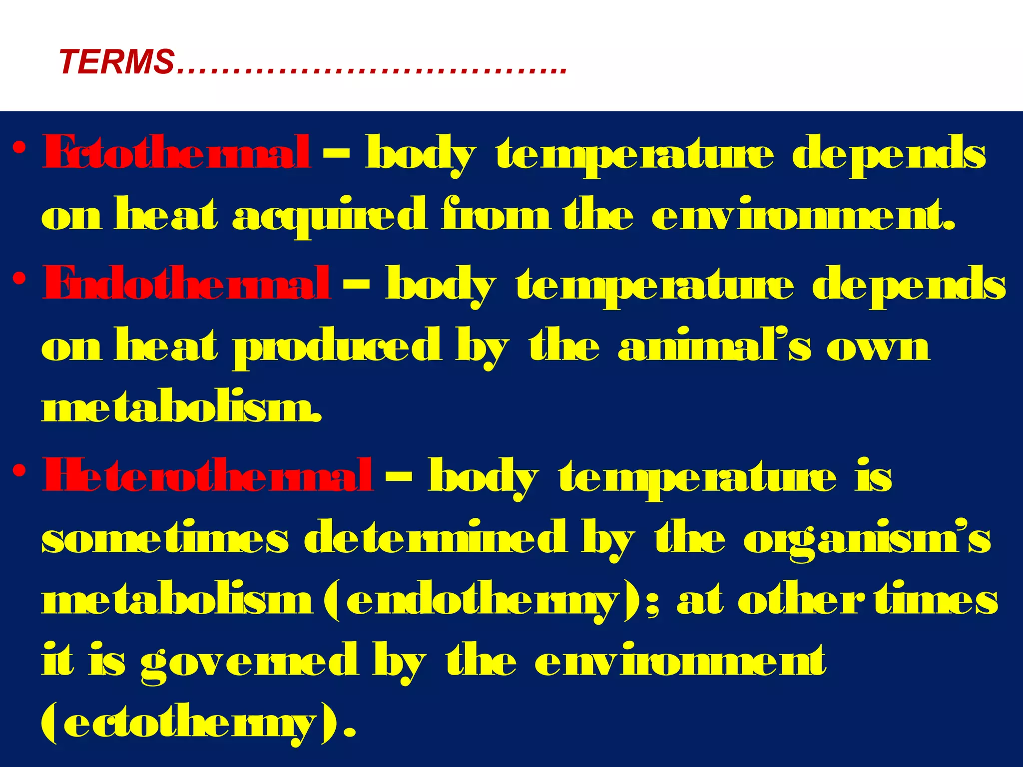 INSECT THERMO DYNAMICS | PPT