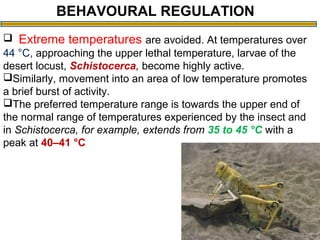 Temperature In Insect INSECT THERMO DYNAMICS | PPT