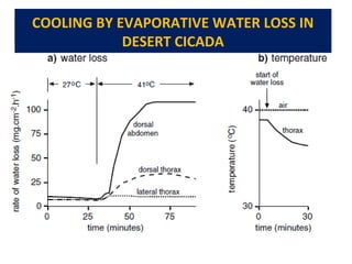 Desaturation Insects INSECT THERMO DYNAMICS | PPT