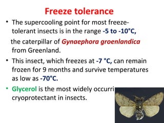 INSECT THERMO DYNAMICS | PPT