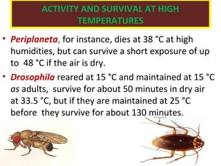 Temperature In Insect INSECT THERMO DYNAMICS | PPT