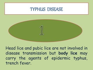 TYPHUS DISEASE
Head lice and pubic lice are not involved in
disease transmission but body lice may
carry the agents of epidermic typhus,
trench fever.
 