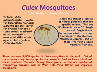 Culex Mosquitoes
Order : Diptera Family : Culicidae
There are over 1,000 species of Culex mosquitoes in the world. Out of
these species only twenty species are known to feed on human blood and
cause lymphatic filariasis. Among Culex genera, a few are capable of
transmitting diseases such as West Nile Virus (WNV) and Japanese
encephalitis.
There are atleast 8 species
of filarial parasites that are
specific to man. They are
Wuchereria bancrofti, Brugia
malayi, Brugia timori,
Onchocerca volvulus, Loa loa,
T perstans, T streptocerca,
Mansonella ozzardi . Out of
these, the first 3 cause
lymphatic filariasis.
In India, Culex
quinquefasciatus - vector
for Bancroftian filariasis;
Mansonia spp are vector
for Brugian filariasis ;
Culex breeds in polluted
water. Mansonia is
associated with certain
aquatic plants (such as
Pistia stratiotes).
 