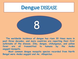 Dengue DISEASE
The worldwide incidence of dengue has risen 30 times more in
past three decades. and more countries are reporting their first
outbreaks of the disease. Zika, dengue, chikungunya, and yellow
fever are all transmitted to humans by the Aedes
aegypti mosquito.
Most common dengue mosquito species recorded from North
Bengal were Aedes aegypti and Ae. Albopictus.
 