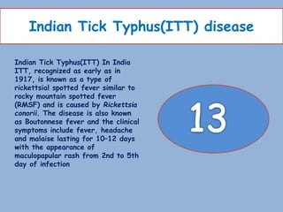 Indian Tick Typhus(ITT) disease
Indian Tick Typhus(ITT) In India
ITT, recognized as early as in
1917, is known as a type of
rickettsial spotted fever similar to
rocky mountain spotted fever
(RMSF) and is caused by Rickettsia
conorii. The disease is also known
as Boutonnese fever and the clinical
symptoms include fever, headache
and malaise lasting for 10–12 days
with the appearance of
maculopapular rash from 2nd to 5th
day of infection
 
