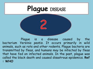 Plague DISEASE
Plague is a disease caused by the
bacterium Yersinia pestis. It occurs primarily in wild
animals, such as rats and other rodents. Plague bacteria are
transmitted by fleas, and humans may be infected by fleas
that have fed on infected animals. In the past, plague was
called the black death and caused disastrous epidemics. Ref
: WHO
 