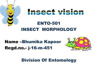 ENTO-501
INSECT MORPHOLOGY
Name –Bhumika Kapoor
Regd.no.- j-16-m-451
Division Of Entomology
 