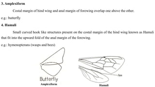 Modification of arthropoda (Insect) wing.pdf