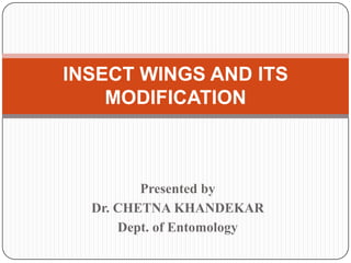 Presented by
Dr. CHETNA KHANDEKAR
Dept. of Entomology
INSECT WINGS AND ITS
MODIFICATION
 
