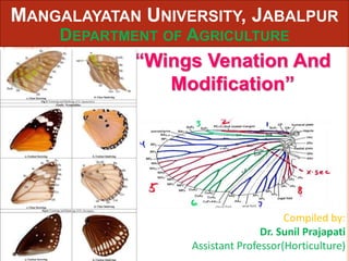 MANGALAYATAN UNIVERSITY, JABALPUR
DEPARTMENT OF AGRICULTURE
Compiled by:
Dr. Sunil Prajapati
Assistant Professor(Horticulture)
“Wings Venation And
Modification”
 