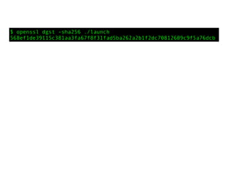 $ openssl dgst -sha256 ./launch
568ef1de39115c381aa3fa67f8f31fad5ba262a2b1f2dc70812609c9f5a76dcb
 