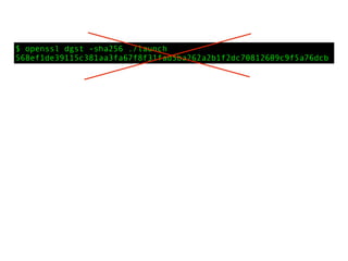 $ openssl dgst -sha256 ./launch
568ef1de39115c381aa3fa67f8f31fad5ba262a2b1f2dc70812609c9f5a76dcb
 