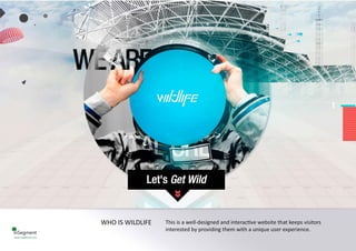 InSegment - 50 Inspiring Homepage Designs