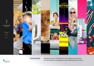 InSegment - 50 Inspiring Homepage Designs