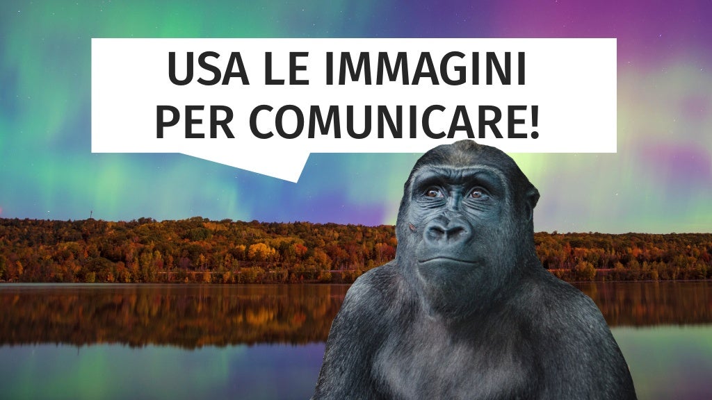 Slide 31