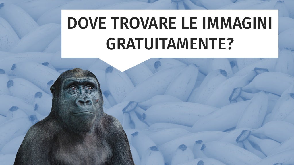 Slide 34