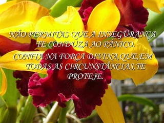 NÃO PERMITAS QUE A INSEGURANÇA TE CONDUZA AO PÂNICO. CONFIA NA FORÇA DIVINA,QUE,EM TODAS AS CIRCUNSTÂNCIAS,TE PROTEJE. 