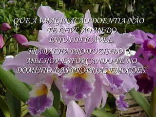 QUE A IMAGINAÇÃO DOENTIA NÃO TE LEVE AO MEDO INJUSTIFICÁVEL. TRABALHA PRODUZINDO O MELHOR,ESFORÇANDO-TE NO DOMÍNIO DAS PRÓPRIAS EMOÇÕES. 