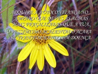 ADQUIRE A AUTOCONFIANÇA NO AMPARO QUE DEVES ÀS ALMAS MAIS FRAGILIZADAS QUE A TUA. O PESSIMISMO ACALENTADO ACABA SE TRANSFORMANDO EM DOENÇA. 