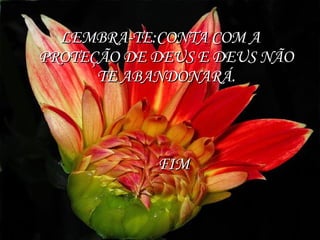 LEMBRA-TE:CONTA COM A PROTEÇÃO DE DEUS E DEUS NÃO TE ABANDONARÁ. FIM 