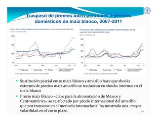 Inseguridad alimentaria y deficiencia nutrientes en América Latina y el Caribe: posición y estrategias de la FAO