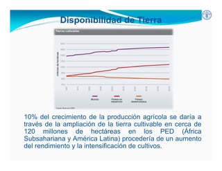 Inseguridad alimentaria y deficiencia nutrientes en América Latina y el Caribe: posición y estrategias de la FAO