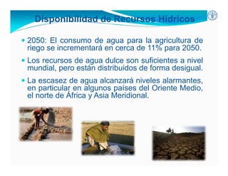 Inseguridad alimentaria y deficiencia nutrientes en América Latina y el Caribe: posición y estrategias de la FAO