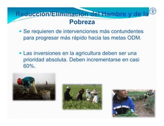 Inseguridad alimentaria y deficiencia nutrientes en América Latina y el Caribe: posición y estrategias de la FAO