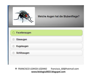  FRANCISCO LOAYZA LOZANO
francisco_68@hotmail.com
www.biologia2022.blogspot.com

 