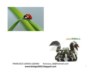 FRANCISCO LOAYZA LOZANO
francisco_68@hotmail.com
www.biologia2022.blogspot.com

5

 