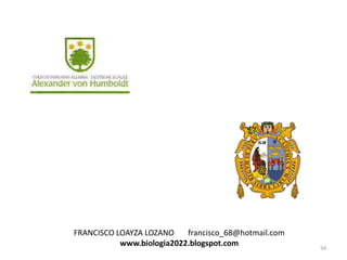FRANCISCO LOAYZA LOZANO
francisco_68@hotmail.com
www.biologia2022.blogspot.com

54

 