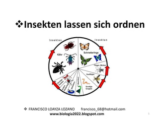 Insekten lassen sich ordnen

 FRANCISCO LOAYZA LOZANO
francisco_68@hotmail.com
www.biologia2022.blogspot.com

1

 