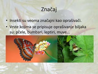 Značaj
• Insekti su veoma značajni kao oprašivači.
• Vrste kojima se pripisuje oprašivanje biljaka
su: pčele, bumbari, leptiri, muve...
 