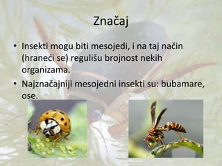 Značaj
• Insekti mogu biti mesojedi, i na taj način
(hraneći se) regulišu brojnost nekih
organizama.
• Najznačajniji mesojedni insekti su: bubamare,
ose.
 