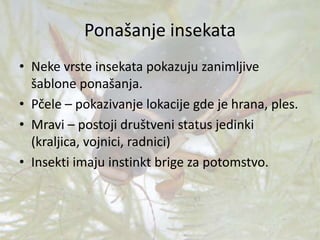 Ponašanje insekata
• Neke vrste insekata pokazuju zanimljive
šablone ponašanja.
• Pčele – pokazivanje lokacije gde je hrana, ples.
• Mravi – postoji društveni status jedinki
(kraljica, vojnici, radnici)
• Insekti imaju instinkt brige za potomstvo.
 