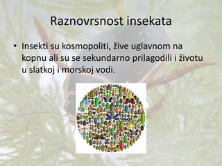Raznovrsnost insekata
• Insekti su kosmopoliti, žive uglavnom na
kopnu ali su se sekundarno prilagodili i životu
u slatkoj i morskoj vodi.
 