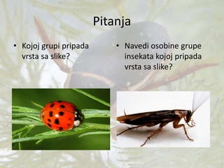 Pitanja
• Kojoj grupi pripada
vrsta sa slike?
• Navedi osobine grupe
insekata kojoj pripada
vrsta sa slike?
 
