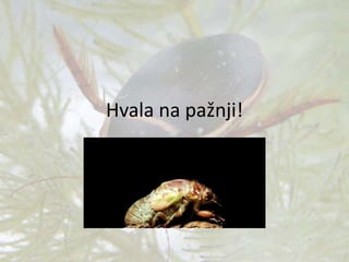 Hvala na pažnji!
 