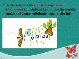 
Koža insekata luči mirisne supstance
(feromone) koji služe za komunikaciju između
mužjaka i ženke, odbijanje neprijatelja itd.
 