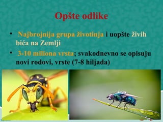 Opšte odlike

Najbrojnija grupa životinja i uopšte živih
bića na Zemlji

3-10 miliona vrsta; svakodnevno se opisuju
novi rodovi, vrste (7-8 hiljada)
 