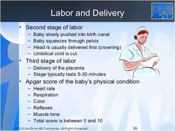 Chapter 8 Pregnancy and Childbirth
