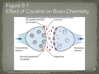 Psychoactive Drugs   Chapter Nine   18
© 2012 McGraw-Hill Companies. All Rights Reserved.
 