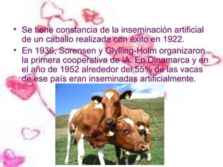 Se tiene constancia de la inseminación artificial de un caballo realizada con éxito en 1922.  En 1936, Sorensen y Glylling-Holm organizaron la primera cooperativa de lA. En Dinamarca y en el año de 1952 alrededor del 55% de las vacas de ese país eran inseminadas artificialmente .  