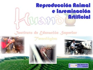 Reproducción Animal
e Inseminación
Artificial
Mag. Alfonso Vigo
Quiñones
 