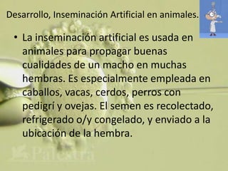 Desarrollo, Inseminación Artificial en animales.

 • La inseminación artificial es usada en
   animales para propagar buenas
   cualidades de un macho en muchas
   hembras. Es especialmente empleada en
   caballos, vacas, cerdos, perros con
   pedigrí y ovejas. El semen es recolectado,
   refrigerado o/y congelado, y enviado a la
   ubicación de la hembra.
 