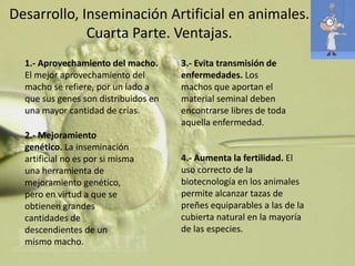 Desarrollo, Inseminación Artificial en animales.
             Cuarta Parte. Ventajas.
  1.- Aprovechamiento del macho.      3.- Evita transmisión de
  El mejor aprovechamiento del        enfermedades. Los
  macho se refiere, por un lado a     machos que aportan el
  que sus genes son distribuidos en   material seminal deben
  una mayor cantidad de crías.        encontrarse libres de toda
                                      aquella enfermedad.
  2.- Mejoramiento
  genético. La inseminación
  artificial no es por si misma       4.- Aumenta la fertilidad. El
  una herramienta de                  uso correcto de la
  mejoramiento genético,              biotecnología en los animales
  pero en virtud a que se             permite alcanzar tazas de
  obtienen grandes                    preñes equiparables a las de la
  cantidades de                       cubierta natural en la mayoría
  descendientes de un                 de las especies.
  mismo macho.
 