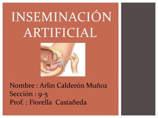 INSEMINACIÓN
  ARTIFICIAL


Nombre : Arlin Calderón Muñoz
Sección : 9-5
Prof. : Fiorella Castañeda
 