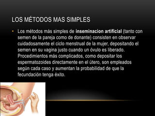 LOS MÉTODOS MAS SIMPLES
• Los métodos más simples de inseminacion artificial (tanto con
  semen de la pareja como de donante) consisten en observar
  cuidadosamente el ciclo menstrual de la mujer, depositando el
  semen en su vagina justo cuando un óvulo es liberado.
  Procedimientos más complicados, como depositar los
  espermatozoides directamente en el útero, son empleados
  según cada caso y aumentan la probabilidad de que la
  fecundación tenga éxito.
 