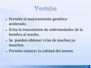  Permite el mejoramiento genético
acelerado.
 Evita la transmisión de enfermedades de la
hembra al macho.
 Se pueden obtener crías de machos ya
muertos.
 Permite conocer la calidad del semen.
 